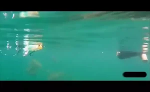 096b5389934a8fa2594009afb32c9b13.webp 1Pc Random Color Topwater Fishing Lure With High Speed Rotating Tail Popper 13g35g Floating Lure Sea Fishing Lure Hard Bait Floating Water Pencil Bait Fishing Gear